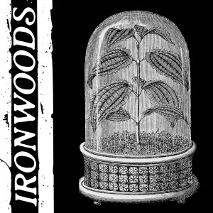Cover for Ironwoods LP